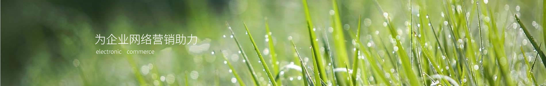 ݸƷкϽƷ޹˾